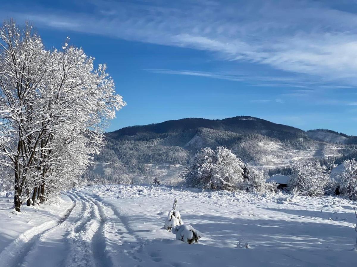 Medova Hata Verkhnyaya Rozhanka Exterior foto